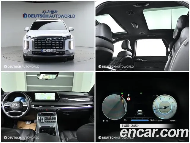 Hyundai Palisade Calligraphy