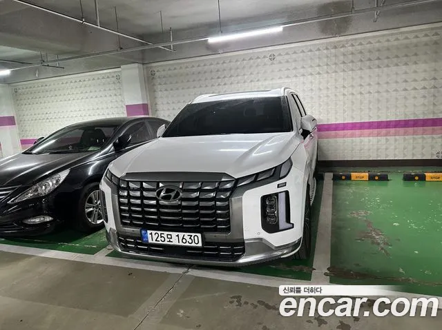 Hyundai Palisade Calligraphy