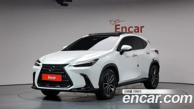 Lexus NX Luxury