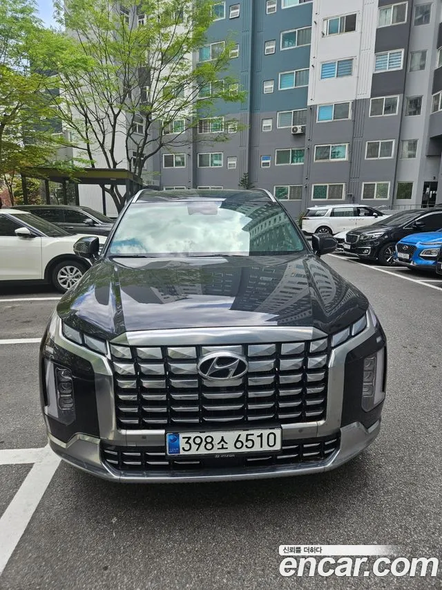 Hyundai Palisade Calligraphy