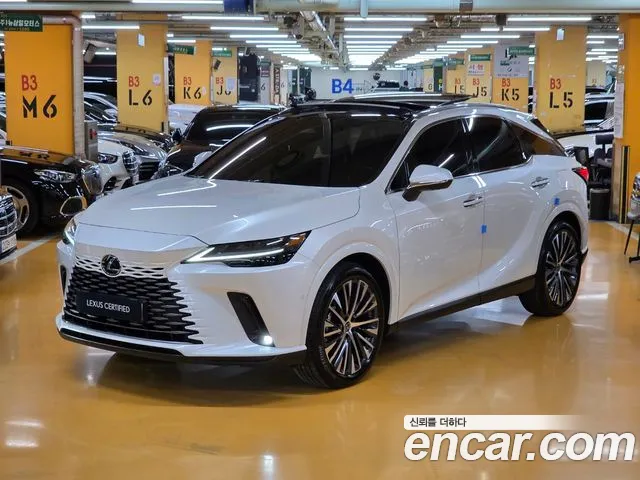 Lexus RX Luxury