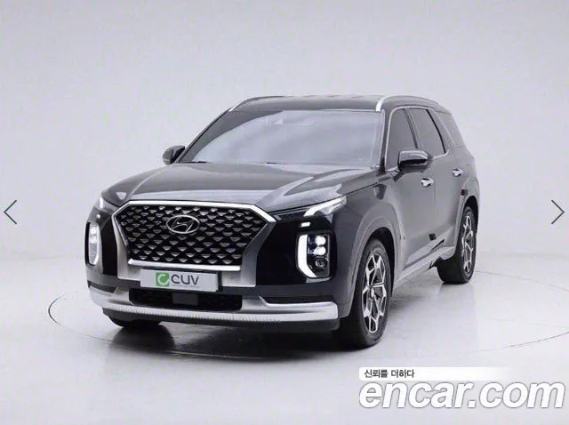 Hyundai Palisade Calligraphy