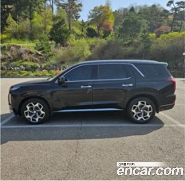 Hyundai Palisade Calligraphy