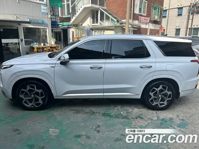Hyundai Palisade Calligraphy
