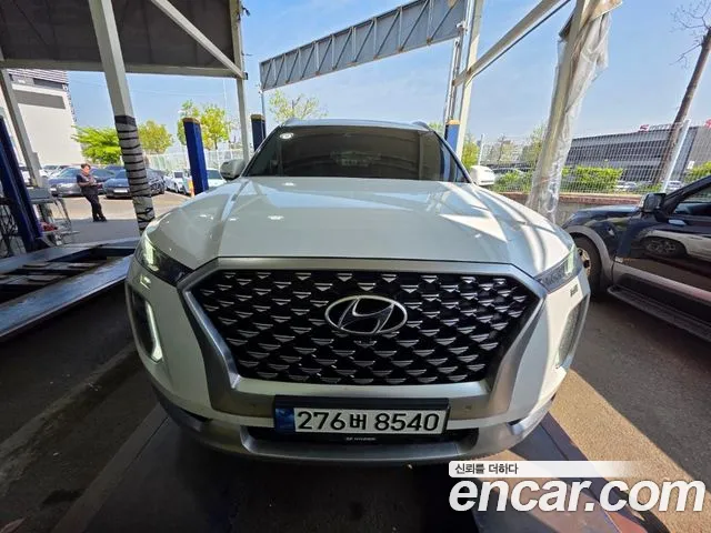 Hyundai Palisade Calligraphy