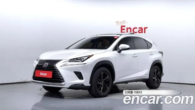 Lexus NX Executive