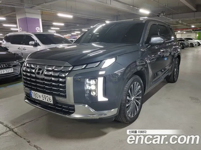 Hyundai Palisade VIP