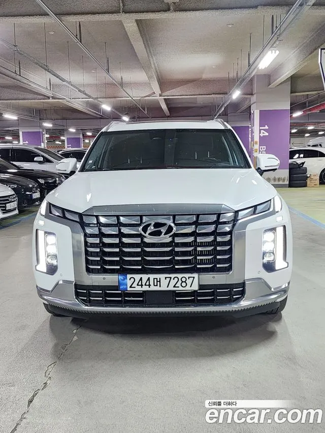 Hyundai Palisade Calligraphy