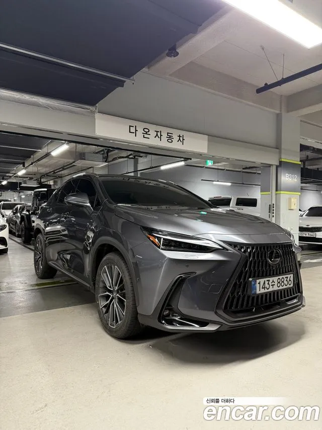 Lexus NX Luxury