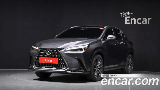Lexus NX Luxury