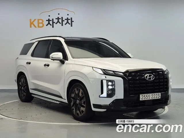 Hyundai Palisade VIP