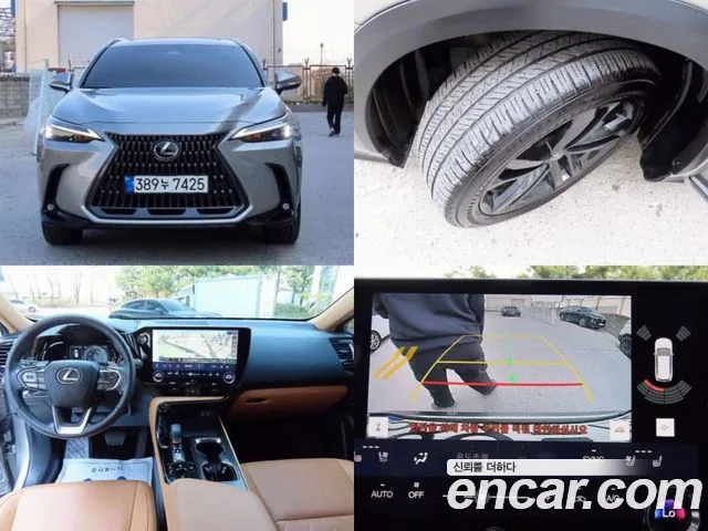 Lexus NX Premium