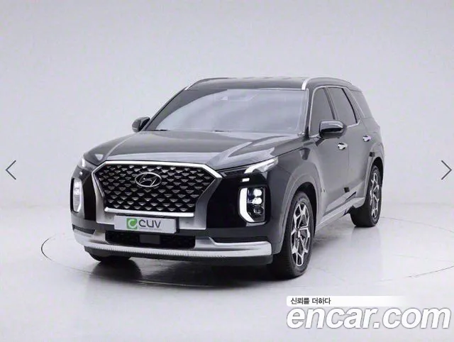 Hyundai Palisade Calligraphy