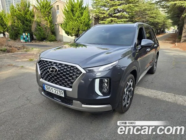 Hyundai Palisade Calligraphy