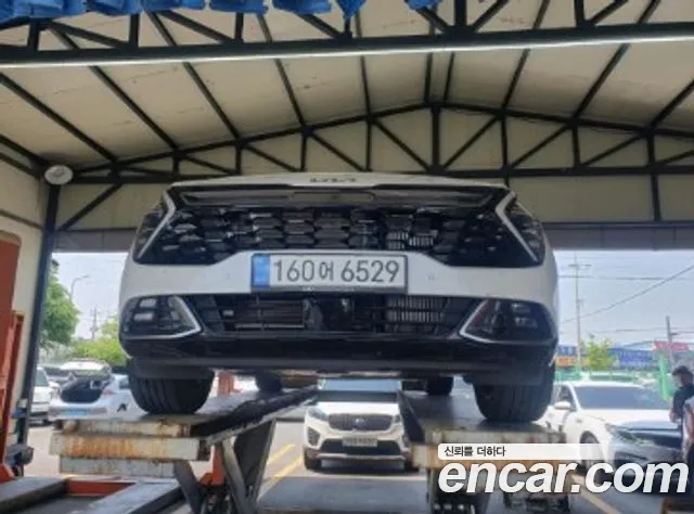 Kia Sportage Nobleless