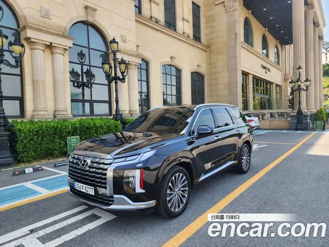 Hyundai Palisade Calligraphy
