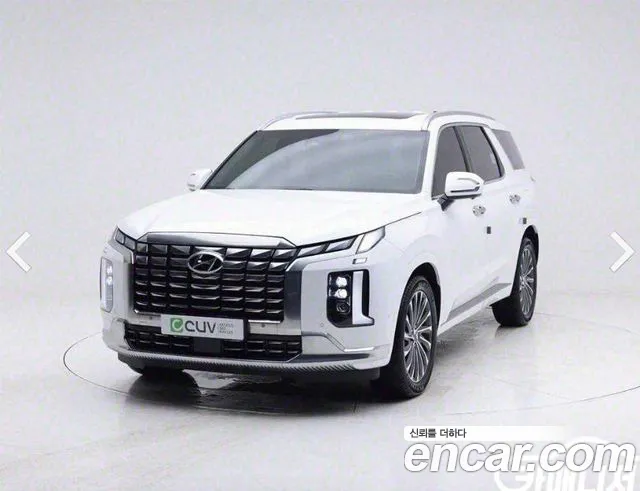 Hyundai Palisade Calligraphy