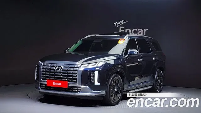 Hyundai Palisade VIP