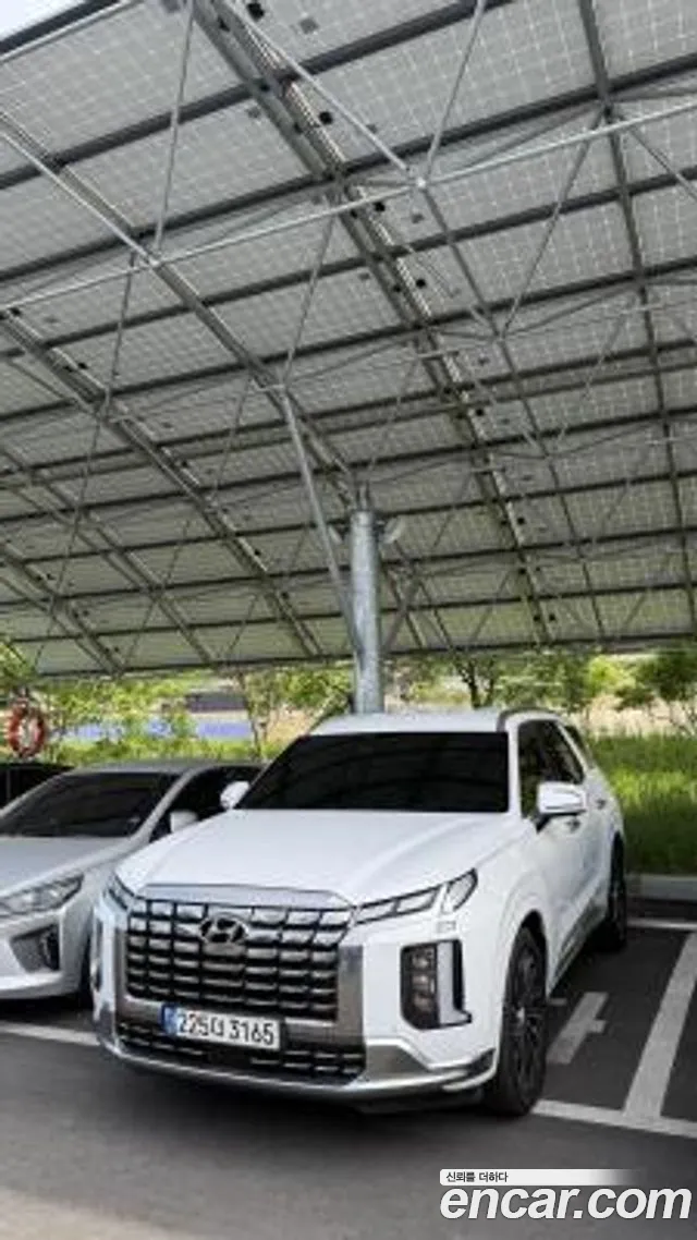 Hyundai Palisade Calligraphy