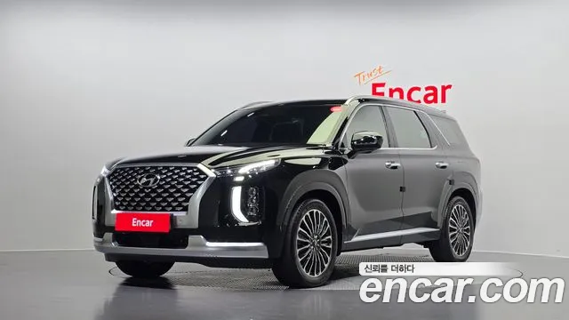 Hyundai Palisade VIP