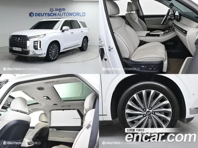 Hyundai Palisade Calligraphy
