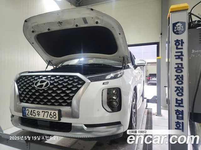 Hyundai Palisade Calligraphy